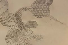 Aurelio-scaled