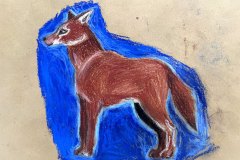 IMG_0419