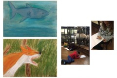 1B-Besuch-im-NHM_Tierstudien-Pastell_cm11