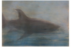 1B-Besuch-im-NHM_Tierstudien-Pastell_cm2