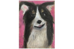 1B-Besuch-im-NHM_Tierstudien-Pastell_cm21