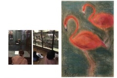 1B-Besuch-im-NHM_Tierstudien-Pastell_cm3