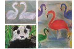 1B-Besuch-im-NHM_Tierstudien-Pastell_cm6