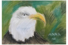 1B-Besuch-im-NHM_Tierstudien-Pastell_cm7