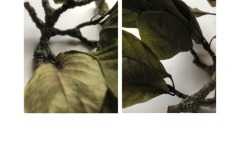 4A-AA02-Magnolie-Fotografie-cm12