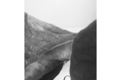 4A-AA02-Magnolie-Fotografie-cm13