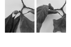 4A-AA02-Magnolie-Fotografie-cm2