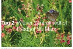 5A_5B-Projekttage-Juni-202111