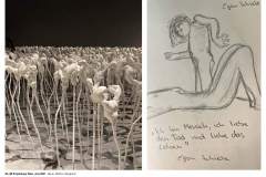 5A_5B-Projekttage-Juni-202125