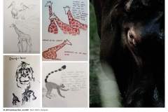 5A_5B-Projekttage-Juni-20214