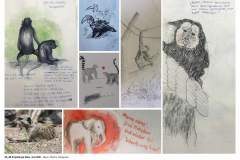 5A_5B-Projekttage-Juni-20218