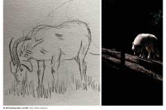 5A_5B-Projekttage-Juni-20219