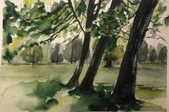 Alexandra-Aqu-scaled