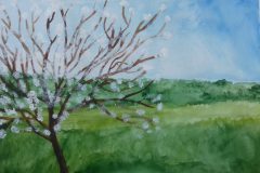 Kirschbaum-Maya-scaled