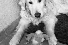 Katastrophe-2-scaled