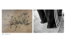 Berlin-Projekttage-8AB-202426