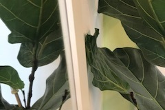 image2-Kopie