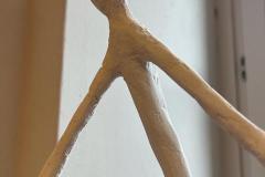 IMG-20230607-WA0001