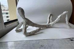 IMG-20230607-WA0010-1
