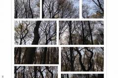 HP-4B-Collage-20200416-cm4