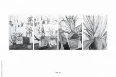 HP-4B-Zoom-20200416-cm2