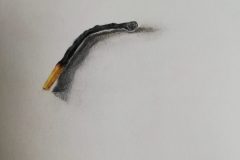 IMG_20200503_121219_resized_20200503_121748682-scaled