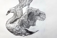 Zeichnung2-Rayana-V-scaled