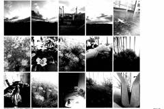 HP-4B-Die-ersten-30-Tage-Fotoserie-20200416-cm6