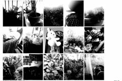 HP-4B-Die-ersten-30-Tage-Fotoserie-20200416-cm7