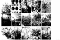 HP-4B-Die-ersten-30-Tage-Fotoserie-20200416-cm8