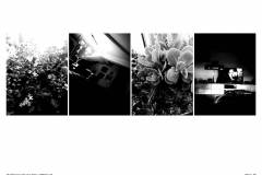 HP-4B-Die-ersten-30-Tage-Fotoserie-20200416-cm9