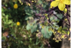 7B_E_Fried_K_Linda_ausweichen