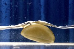 8EF7A695-16C2-4109-A601-CE8DDFC3BAE7-e1649164528793