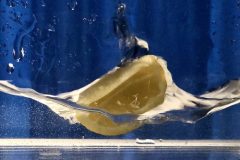 F9E71E36-3B5B-433B-AFA3-E23550A93723-e1649164544355