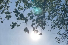IMG_0362