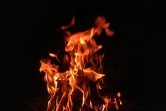 IMG_20200412_094429_464