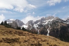 Image-4