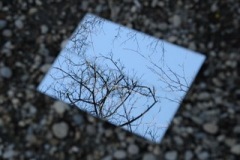 Reflexion.Hughes.DSCF3497