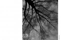 HP-4B-Fotoprojekt-I-2020-cm34