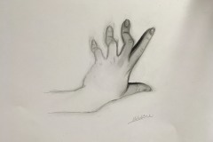 Elaheh_IMG_6188