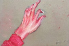 Vanda_IMG_6181