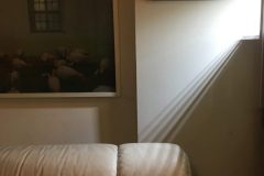 3C32E267-7469-4895-BB3A-96303CE35D88-scaled