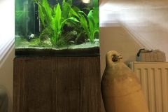 DA30B7F8-C61C-412D-B674-D2E49F023DBA-scaled