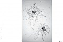 1_HP-6B-Auswahl-Naturstudium-Stillleben-20200416-cm11