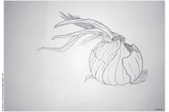 1_HP-6B-Auswahl-Naturstudium-Stillleben-20200416-cm13