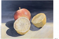 1_HP-6B-Auswahl-Naturstudium-Stillleben-20200416-cm17