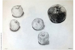 1_HP-6B-Auswahl-Naturstudium-Stillleben-20200416-cm22