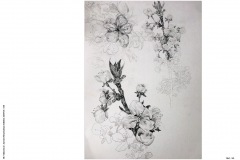 1_HP-6B-Auswahl-Naturstudium-Stillleben-20200416-cm8