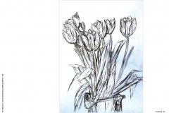 HP-6B-Auswahl-Naturstudium-Stillleben-20200416-cm3