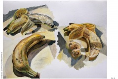 HP-6B-Auswahl-Naturstudium-Stillleben-20200416-cm9
